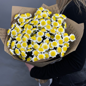 Букет "Моё солнышко" из 11 хризантем сантини  в Домодедово