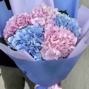 Букет из 5 голландских гортензий микс в Домодедово