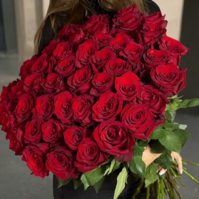 Букет 51 роза Эквадор Эксплорер (70 см) в Домодедово