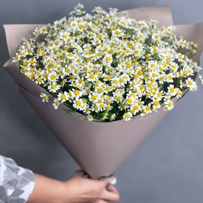 Букет из 17 ромашек танацетум в Домодедово