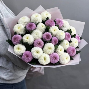Букет из 31 хризантемы Момоко микс в Домодедово