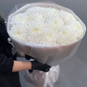 Букет из 11 белых хризантем  в Домодедово