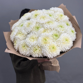 Букет из 27 хризантем Магнум в Домодедово