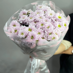 Букет "Нежный комплимент" из 9 кустовых хризантем в Домодедово