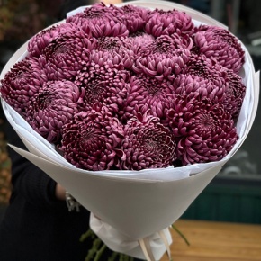 Букет 21 винной хризантемы Бигоуди в Домодедово