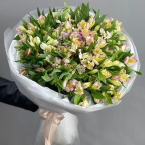 Букет "Зарина" из 37 альстромерий микс в Домодедово