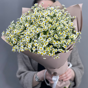 Букет из 17 полевых ромашек в Домодедово