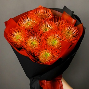 Букет из 9 лейко в Домодедово