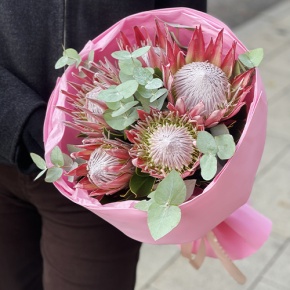 Букет из 5 протей и эвкалипта в Домодедово