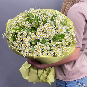 Букет из альстромерий и ромашек в Домодедово