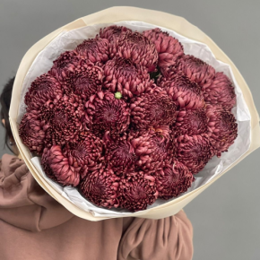 Букет 21 шоколадной хризантемы Бигоуди в Домодедово