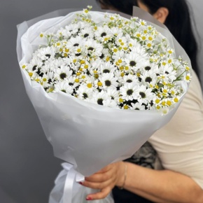 Букет "Понарошку" из хризантем сантини и ромашек в Домодедово