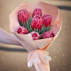 Букет из 7 протей в Домодедово