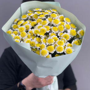 Букет "Моё солнышко" из 17 хризантем сантини в Домодедово