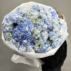Букет из 23 синих гортензий в Домодедово