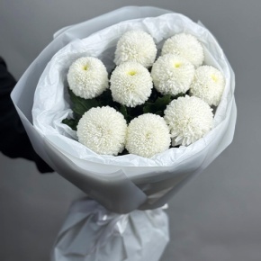Букет из 9 белых хризантем Момоко в Домодедово