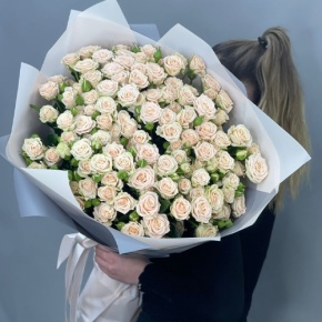 Букет из 25 кремовых кустовых роз (70 см) в Домодедово