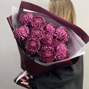 Букет "Изобилие" из 11 винных хризантем Бигоуди в Домодедово