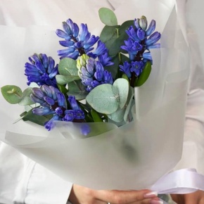 Букет "Мини" из 5 ароматных гиацинтов и эвкалипта в Домодедово