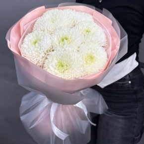 Нежный букет из 7 хризантем Магнум в Домодедово