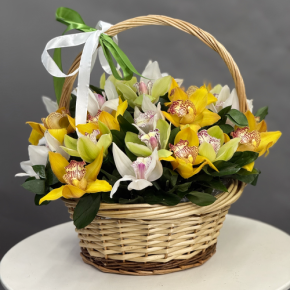 Композиция в корзине из 25 орхидей микс в Домодедово