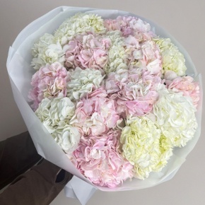 Букет из 17 нежных гортензий в Домодедово