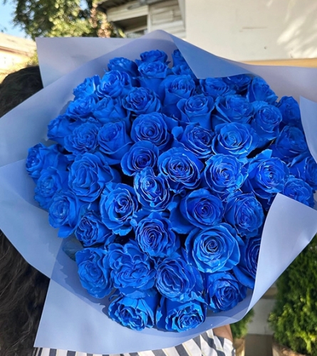Букет из 51 синей розы Эквадор (60 см) в Домодедово