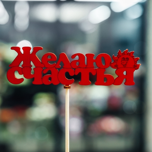 Топпер Желаю Счастья в Домодедово