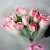 Букет "Фламинго" из 11 пионовидных тюльпанов в Домодедово Букет "Фламинго" из 11 пионовидных тюльпанов в Домодедово