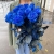 15 синих LUX роз Эквадор (70 см) в Домодедово 15 синих LUX роз Эквадор (70 см) в Домодедово