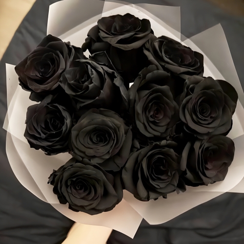 Букет "Черная королева" из 11 черных роз Эквадор (60 см) в Домодедово