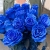 15 синих LUX роз Эквадор (70 см) в Домодедово 15 синих LUX роз Эквадор (70 см) в Домодедово