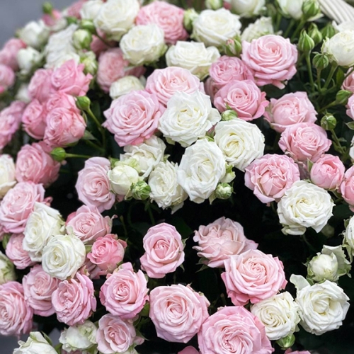 Композиция в корзине из 101 кустовой пионовидной розы в Домодедово