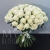 Букет 75 белых роз Эквадор Мондиаль (80 см) в Домодедово Букет 75 белых роз Эквадор Мондиаль (80 см) в Домодедово