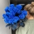 15 синих LUX роз Эквадор (70 см) в Домодедово 15 синих LUX роз Эквадор (70 см) в Домодедово