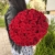 Букет 51 красной розы 50 см в Домодедово Букет 51 красной розы 50 см в Домодедово