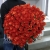Букет 101 коралловая роза (60 см) в Домодедово Букет 101 коралловая роза (60 см) в Домодедово