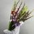 Букет из 25 гладиолусов микс в Домодедово Букет из 25 гладиолусов микс в Домодедово