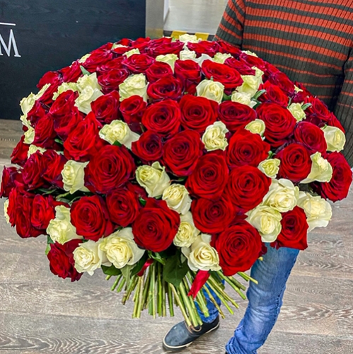 Букет 151 роза красный и белый микс (60 см) в Домодедово