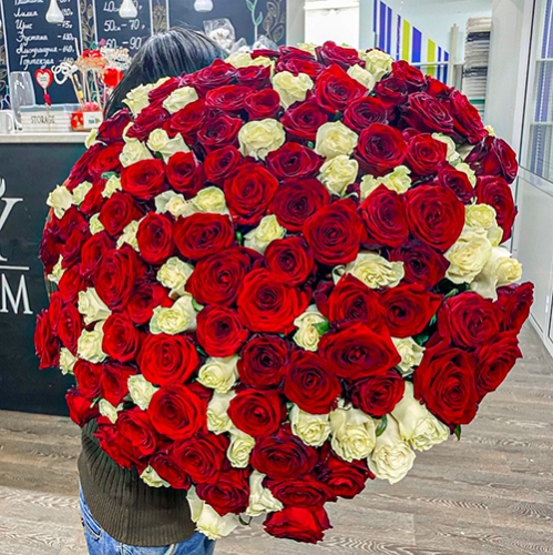 Букет 151 роза красный и белый микс (60 см) в Домодедово