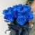 15 синих LUX роз Эквадор (70 см) в Домодедово 15 синих LUX роз Эквадор (70 см) в Домодедово