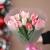 Букет "Фламинго" из 11 пионовидных тюльпанов в Домодедово Букет "Фламинго" из 11 пионовидных тюльпанов в Домодедово