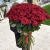 Букет из 101 красной розы (90 см) в Домодедово Букет из 101 красной розы (90 см) в Домодедово