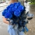 15 синих LUX роз Эквадор (70 см) в Домодедово 15 синих LUX роз Эквадор (70 см) в Домодедово