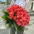 Букет 51 роза коралл (60 см) в Домодедово Букет 51 роза коралл (60 см) в Домодедово