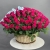 Композиция в корзине из 151 малиновой розы в Домодедово Композиция в корзине из 151 малиновой розы в Домодедово