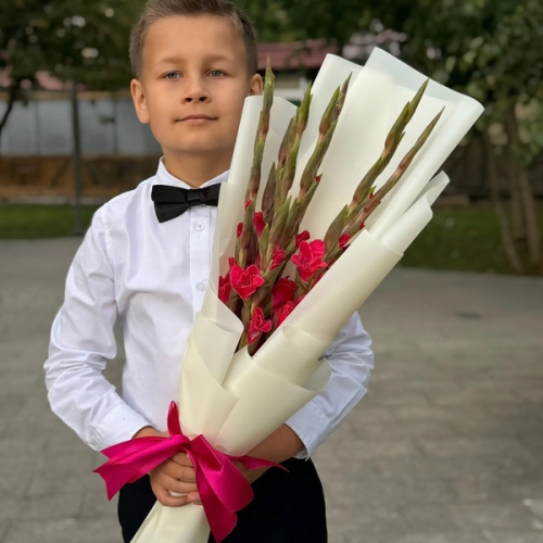Букет на 1 сентября из 7 малиновых гладиолусов в Домодедово