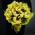 Букет из 13 лимонных орхидей в Домодедово Букет из 13 лимонных орхидей в Домодедово