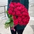 51 малиновая тепличная роза Шангрила (70 см) в Домодедово 51 малиновая тепличная роза Шангрила (70 см) в Домодедово